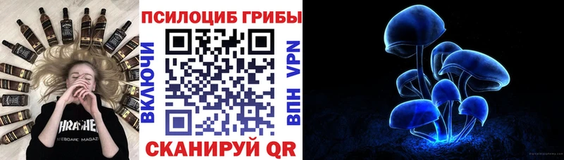 Псилоцибиновые грибы мицелий  Купить где  Чапаевск 